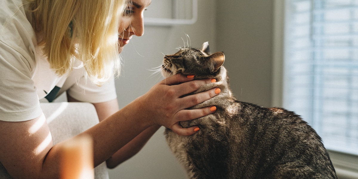 Mga Veterinary Clinic